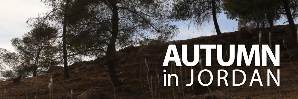 autumn in Jordan